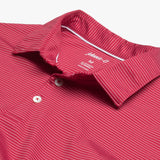 Albatross (Red)