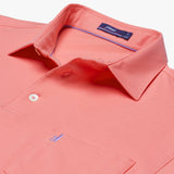 Big and Tall Harvey Polo