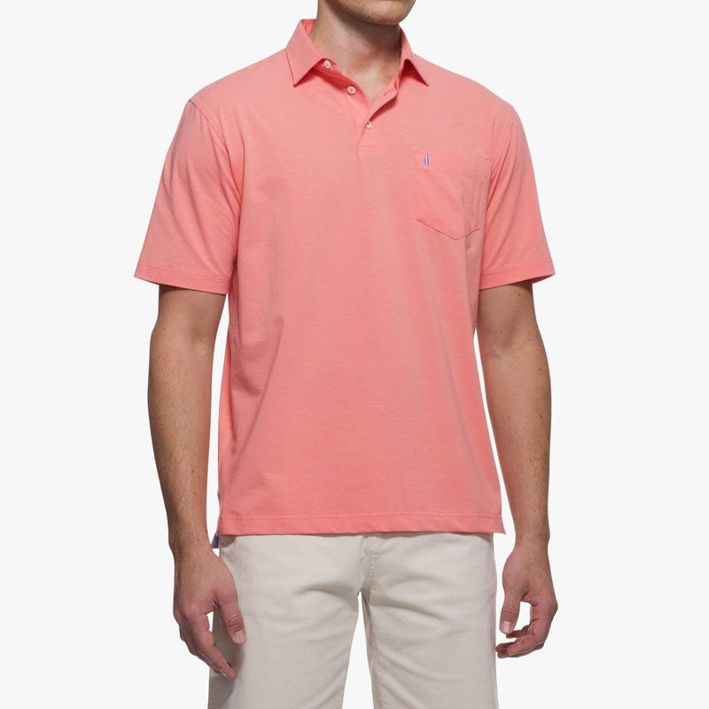 Big and Tall Harvey Polo