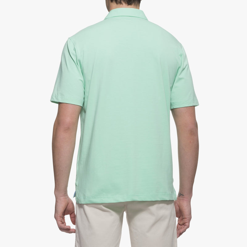 Big and Tall Harvey Polo